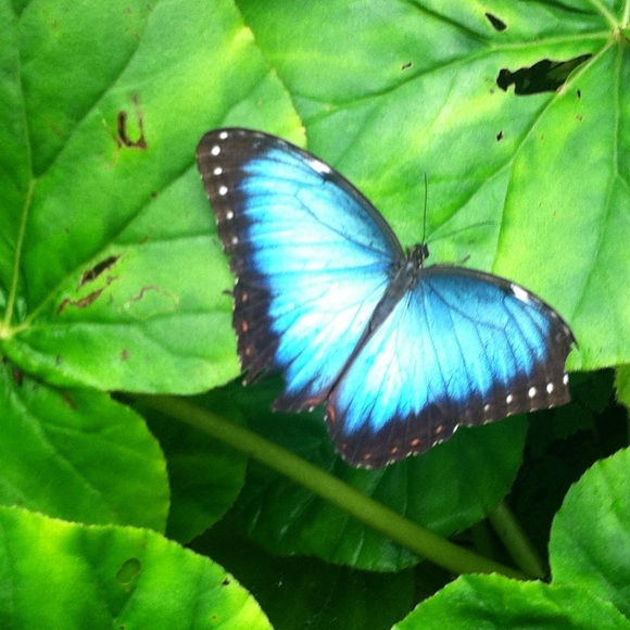 Meet your Posher, Carmella - Picture 1 of 2